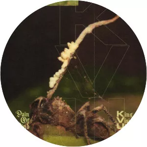 King Vision Ultra - Musical artist