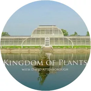 Kingdom of Plants 3D