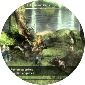 Kingdom Under Fire: Circle of Doom - Video game