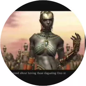 Kingdom Under Fire: The Crusaders