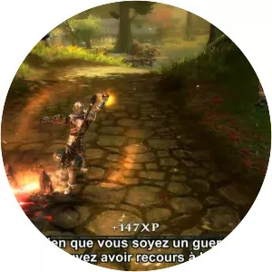 Kingdoms of Amalur: Reckoning - Video game