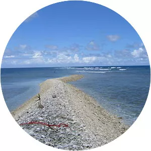 Kingman Reef - Island in the Pacific Ocean