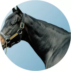 Kinshasa No Kiseki - Organism