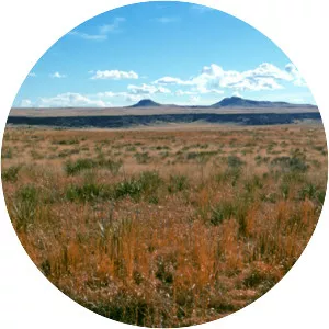 Kiowa National Grassland