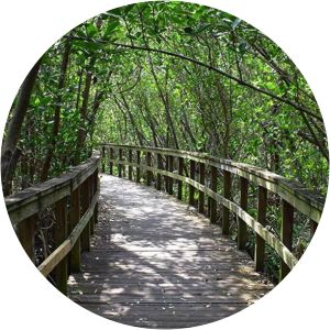 Kiplinger Nature Preserve