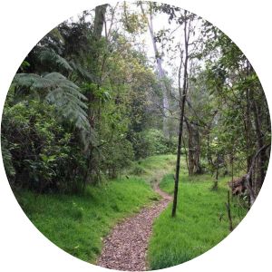 Kīpuka Puaulu Trail