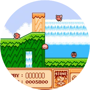 Kirby's Adventure - Video game