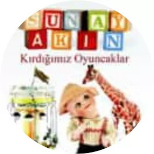 Kırdığımız Oyuncaklar