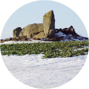 Kirkton of Bourtie Stone Circle