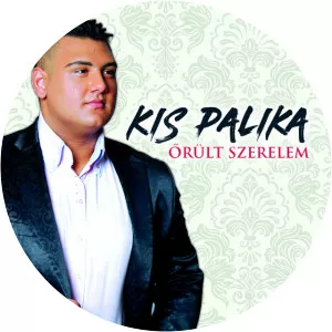 Kis Palika - Musical artist