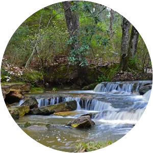 Kisatchie National Forest - 