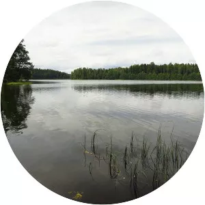 Kisejärv - Lake in Estonia