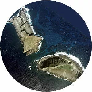 Kita Kojima / Bei Xiaodao