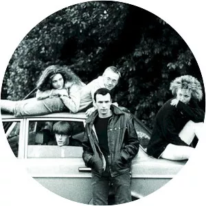 Kitchen and the Plastic Spoons