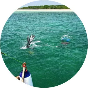 Kiunga Marine National Reserve