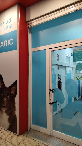 Kivet Salud Animal - Veterinarian in Spain