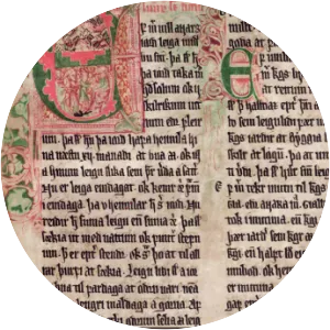 Kjalnesinga saga - Book