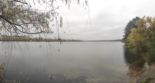 Kladovyshche Domashnikh Tvaryn - Cemetery in Kyiv, Ukraine