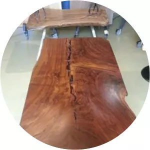 Klara Lyby photograph