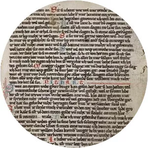 Kleine Heidelberger Liederhandschrift - Book