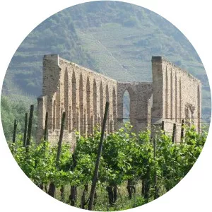 Kloster Ruine Stuben