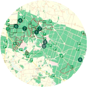 Klosterhede Plantage - Forest in Denmark
