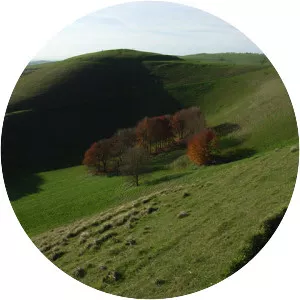Knap Hill - 