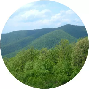 Knob Mountain