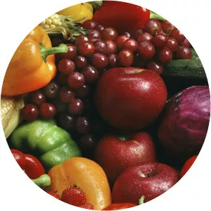 Know the Cause with Doug KaufmannSince 2003