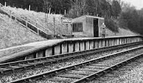 Knowle Halt railway station - 