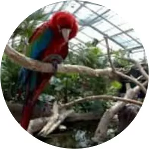 Kobe Animal Kingdom - 