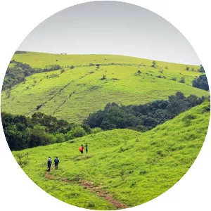 Kodachadri - Mountain in India