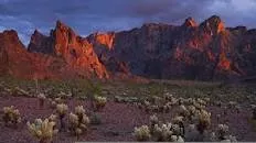 Kofa Wilderness - 