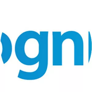 Kognitio - Software company