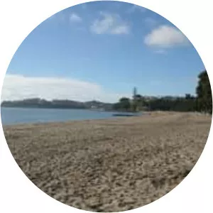 Kohimarama Beach - 