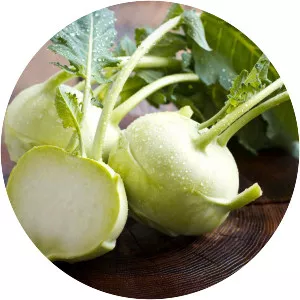 Kohlrabi
