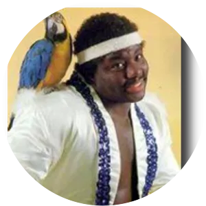 Koko B. Ware - American professional wrestler
