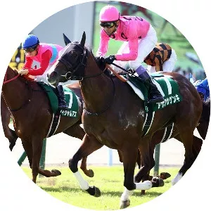 Kokura Nisai Stakes - 