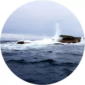 Kolbeinsey - Islet in Iceland