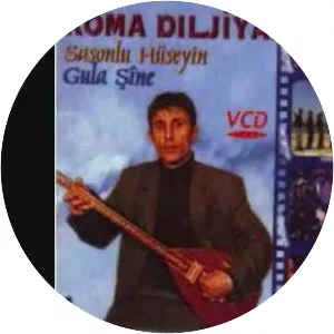 Koma Diljiyan - Musical artist