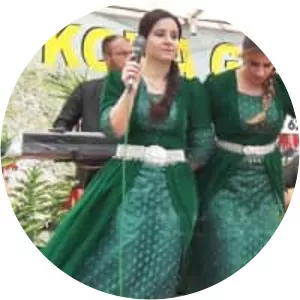 Koma Gel - Musical artist