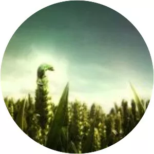 Kombinat 100 - Musical group