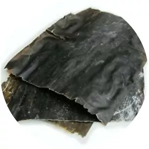 Kombu - Algae