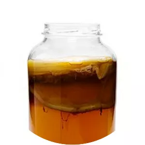 Kombucha photograph
