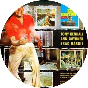 Kommissar X – Drei gelbe Katzen