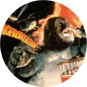 Kongfrontation - Amusement ride