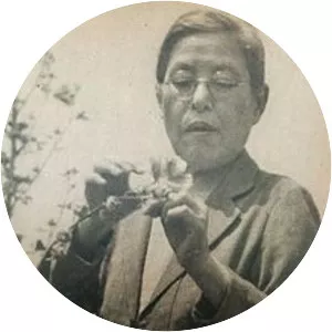 Kono Yasui