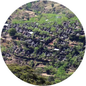 Konso
