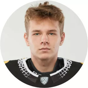 Konstantin Shostak - Ice hockey player