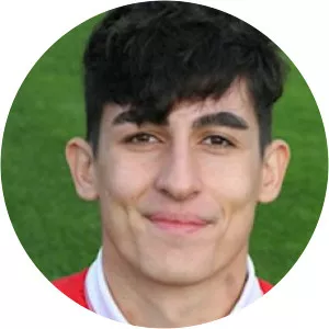 Konstantinos Panagou